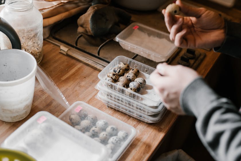 Once-a-Month Cooking: Bulk Meal Storage for Emergency Preparedness